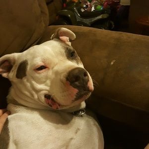 Meet your Posher, Candra